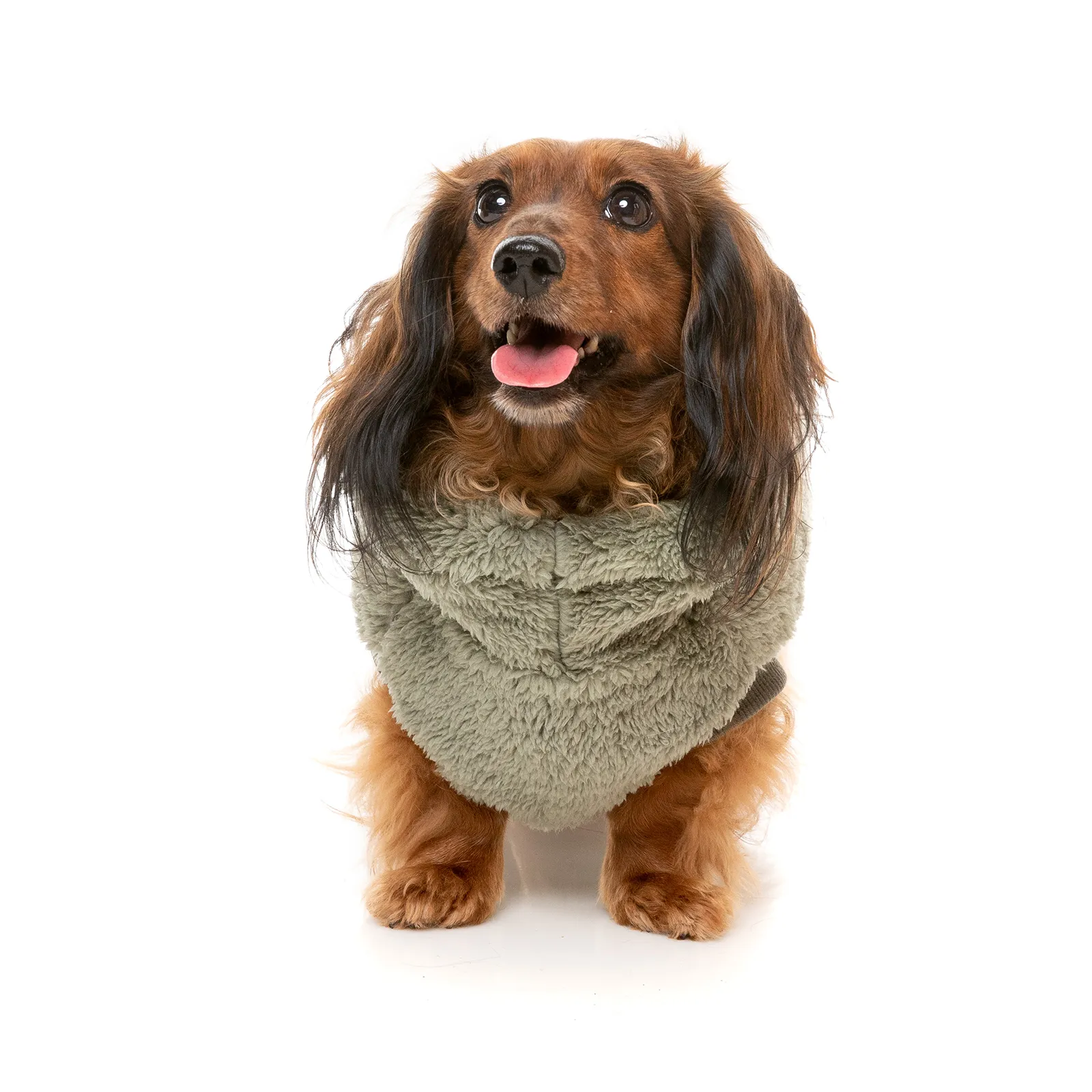 FuzzYard Dog Coat Turtle Teddy Sweater